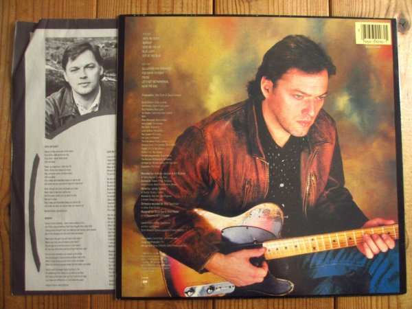 画像2: David Gilmour / About Face (2)