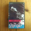 画像1: Stray Cats / Compilation (1)