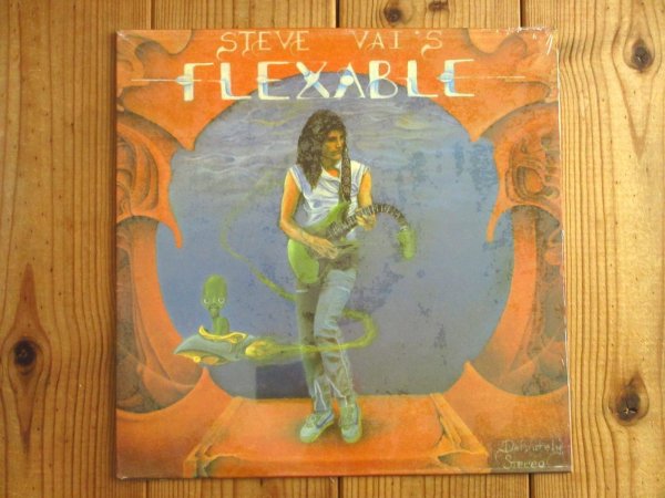 画像1: Steve Vai / Flex-Able (1)