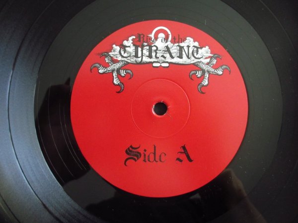 画像29: Arch Enemy / 1996 - 2017 (29)