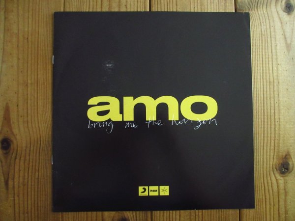 画像2: Bring Me The Horizon / Amo (2)