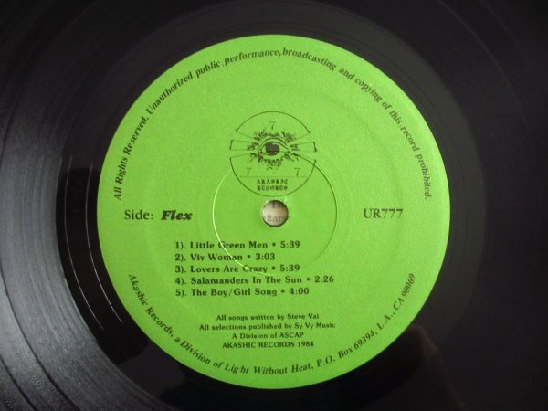 画像3: Steve Vai / Flex-Able (3)