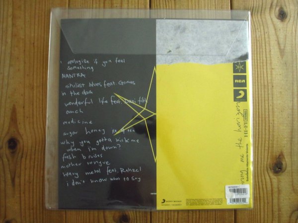 画像3: Bring Me The Horizon / Amo (3)