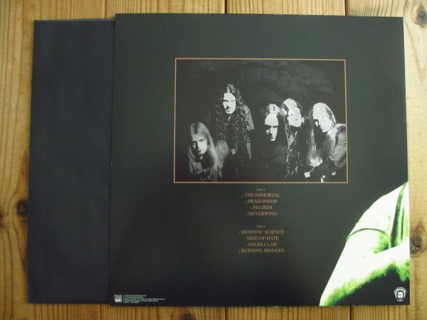 画像16: Arch Enemy / 1996 - 2017 (16)