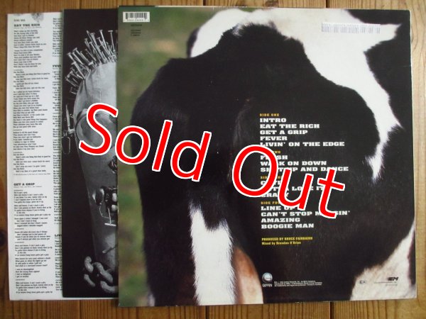 画像2: Aerosmith / Get A Grip (2)