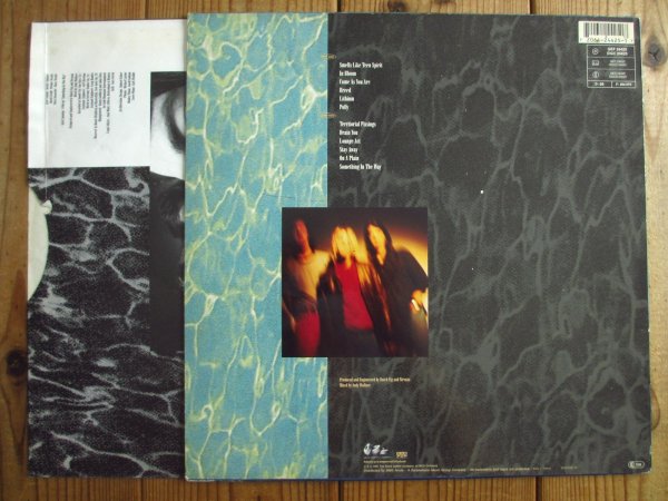 画像2: Nirvana / Nevermind (2)