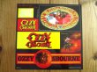 画像4: Ozzy Osbourne / 罪と罰 (4)