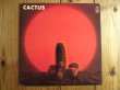 画像1: Cactus / Cactus (1)