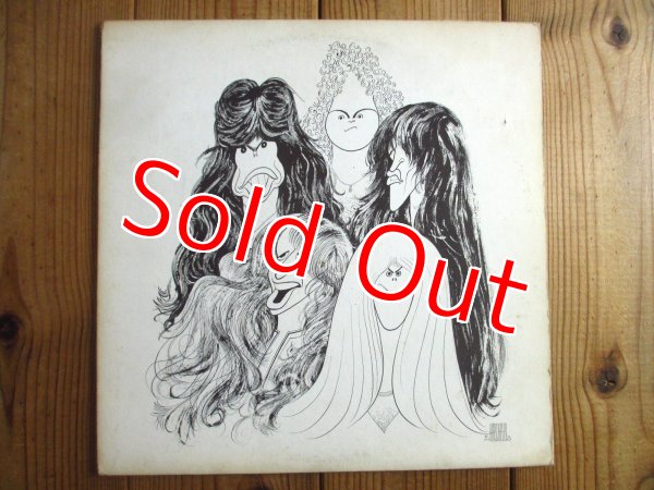 画像1: Aerosmith / Draw The Line (1)