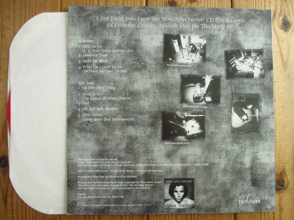 アート・デザイン・音楽 Stevie Salas Colorcode Alter Native アート・デザイン・音楽 Stevie Salas Colorcode Alter Native