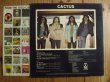 画像2: Cactus / Cactus (2)