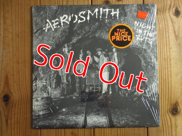 画像1: Aerosmith / Night In The Ruts (1)