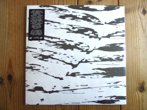 画像1: 初LP化！シカゴのエクスペリメンタルギタリストによる2022年の名作がアナログ盤で入荷！■Guy Blakeslee / Extravision (1)