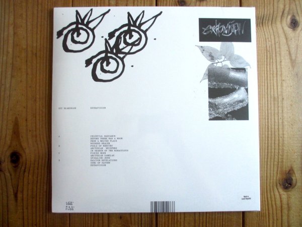 画像2: 初LP化！シカゴのエクスペリメンタルギタリストによる2022年の名作がアナログ盤で入荷！■Guy Blakeslee / Extravision (2)