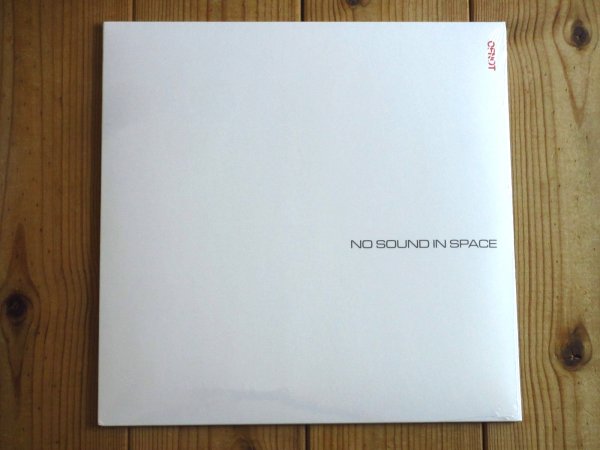 画像1: ラナデルレイのギタリストが放つ、壮大なアンビエントドローン作品がアナログ盤で入荷！■Blake Lee / No Sound In Space (1)