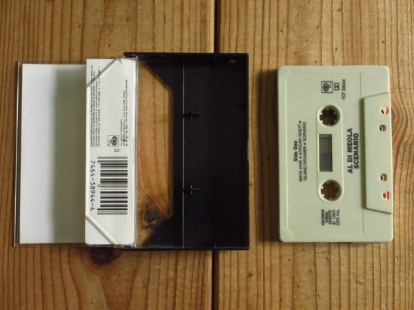 画像2: Al Di Meola / Scenario (2)