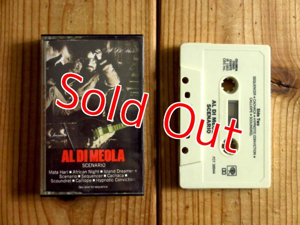 画像1: Al Di Meola / Scenario (1)