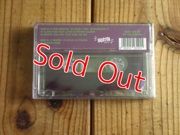 画像2: ロック史上に残る最高ジャケットでお馴染みダイナソーJrの名作が新品カセットテープで入荷！■Dinosaur Jr / Green Mind (2)