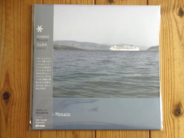 画像1: 日本独自LP化！YMOのサポートギタリストとしても活躍したフェネスの2024年作がアナログ盤が入荷！■Christian Fennesz / Mosaic (1)