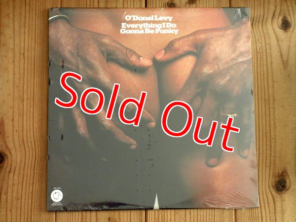 画像1: 未開封デッドストック！■O'Donel Levy / Everything I Do Gonna Be Funky (1)