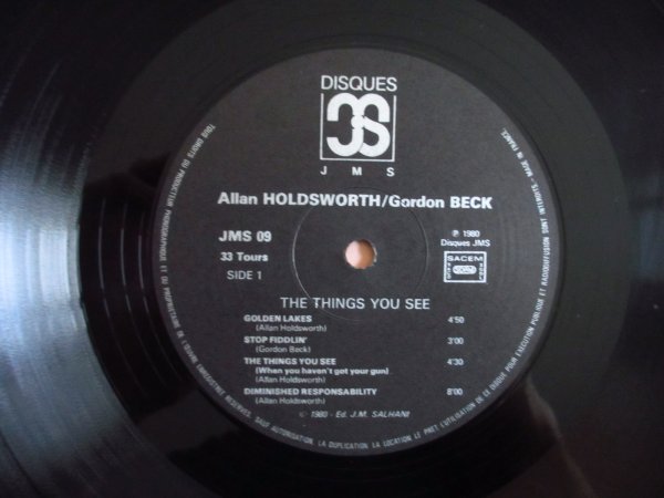 画像3: Allan Holdsworth & Gordon Beck / The Things You See - Sunbird (3)
