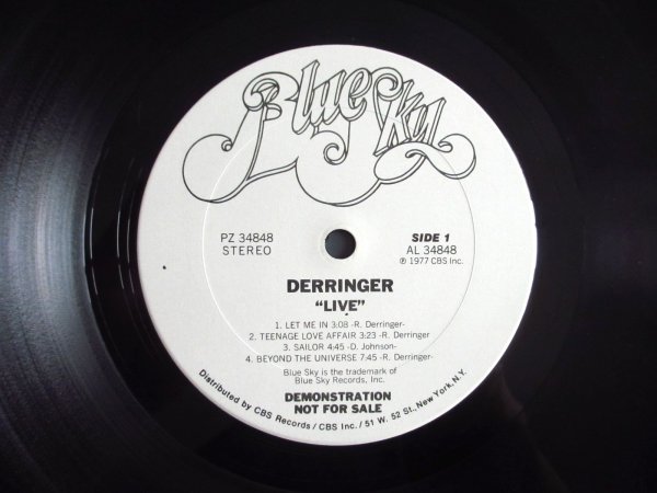 画像3: Derringer / Live (3)