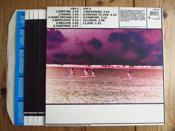 画像3: Reef / Replenish (3)