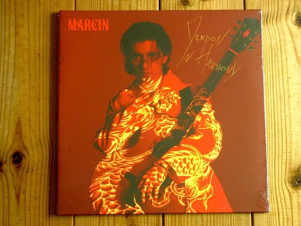 画像1: 驚異的なギターテクニックでSNSでバズりまくった2000年生まれの若き天才ギタリスト待望のデビューアルバムがアナログ盤で入荷！■Marcin Patrzalek / Dragon In Harmony (1)