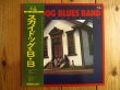 画像1: Sky Dog Blues Band / スカイドッグ・ブルース・バンド (1)