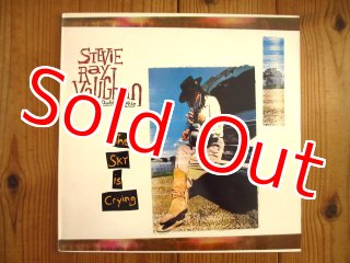 Stevie Ray Vaughan / The Vaughan Brothers - Family Style - Guitar