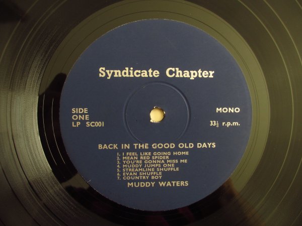 画像5: Muddy Waters / Back In The Early Days Volumes 1 And 2 (5)