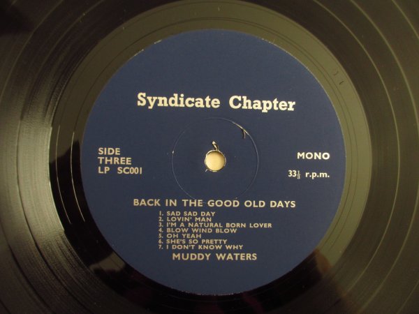 画像4: Muddy Waters / Back In The Early Days Volumes 1 And 2 (4)