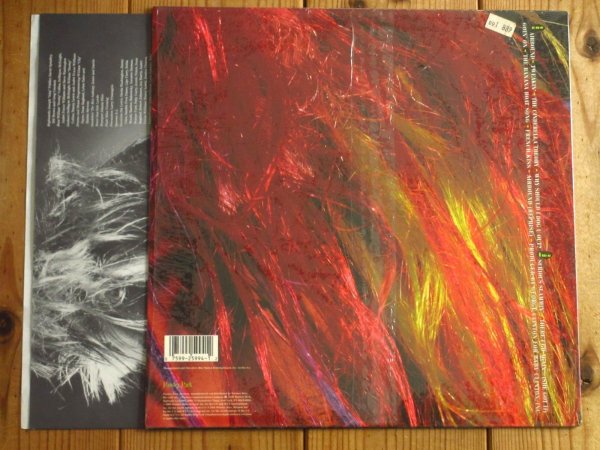 画像2: George Clinton / The Cinderella Theory (2)