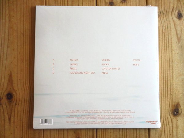 画像2: スヴェン・ワンダーのサウンドを支えるギタリスト、ダニエルエグレンの2025年ソロアルバムがアナログ盤で入荷！■Daniel Ogren / Pine (2)