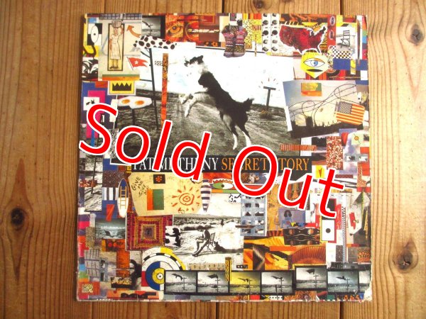 画像1: Pat Metheny / Secret Story (1)