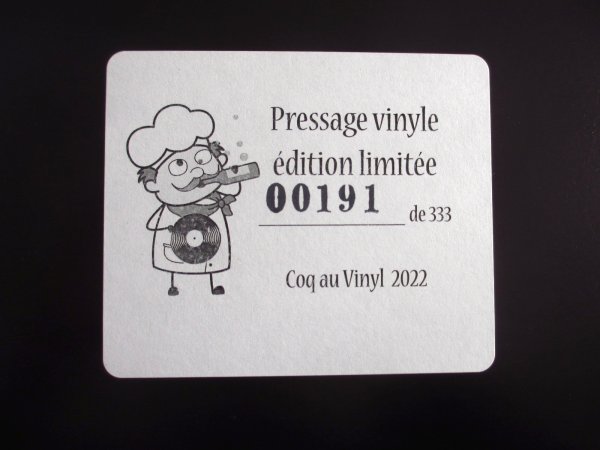 画像3: Pat Metheny / Zero Tolerance For Silence (3)