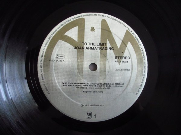 画像3: Joan Armatrading / To The Limit (3)