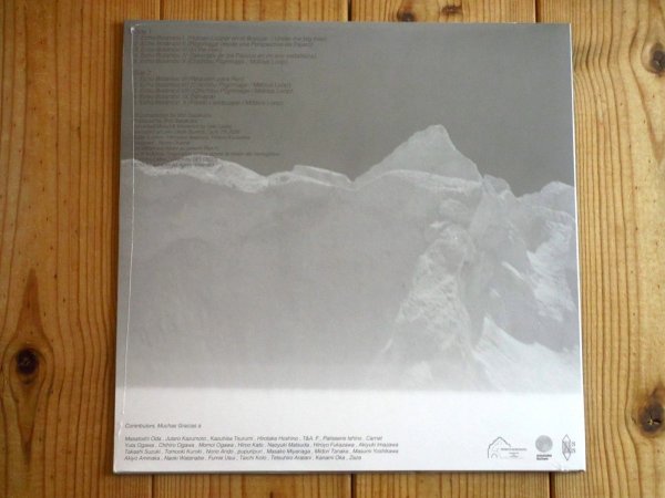 画像2: 秩父のギタリスト笹久保伸の通算44作目となるアルバム2025年作品がアナログ盤で入荷！■Shin Sasakubo / Echo Botanico (2)