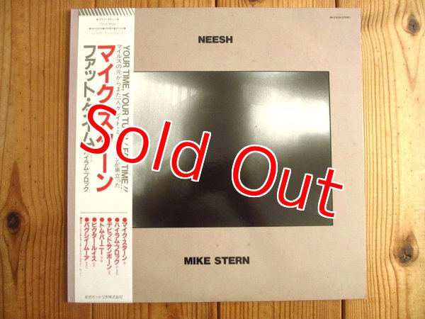 画像1: Mike Stern / Neesh ~ ファット・スリム (1)