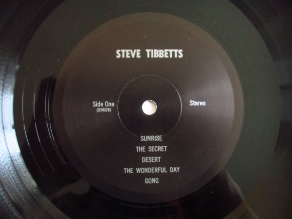 画像3: Steve Tibbetts / Steve Tibbetts (3)