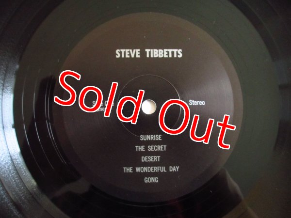 画像3: Steve Tibbetts / Steve Tibbetts (3)