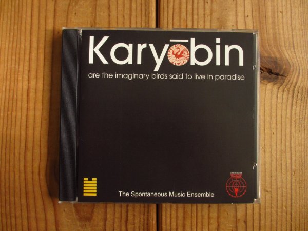 画像1: Spontaneous Music Ensemble / Karyobin (1)