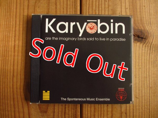 画像1: Spontaneous Music Ensemble / Karyobin (1)