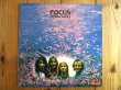 画像1: Focus / Moving Waves (1)