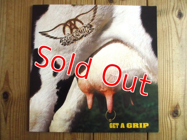 画像1: Aerosmith / Get A Grip (1)