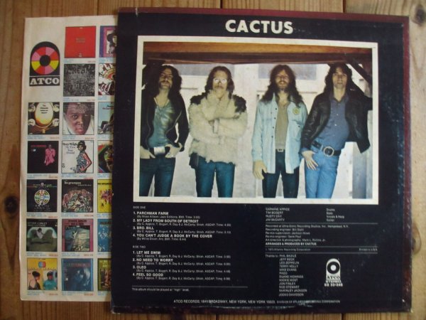 画像2: Cactus / Cactus (2)