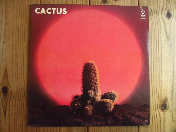 画像1: Cactus / Cactus (1)