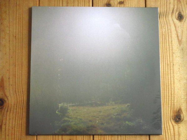 画像1: 秩父のギタリスト笹久保伸の通算33作目となるアルバム2022年作がアナログ盤で入荷！■Shin Sasakubo / Venus Penguin (1)