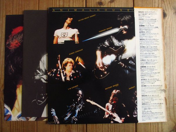 画像2: 増尾好秋 - Animal House Band / Masuo Live (2)