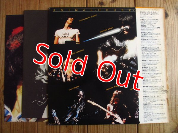 画像2: 増尾好秋 - Animal House Band / Masuo Live (2)